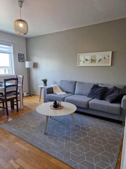 Apartment In Downtown Reykjavík Dış mekan fotoğraf