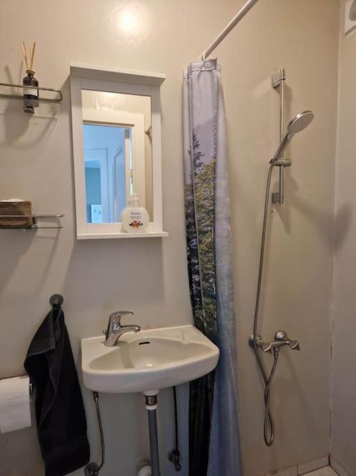 Apartment In Downtown Reykjavík Dış mekan fotoğraf
